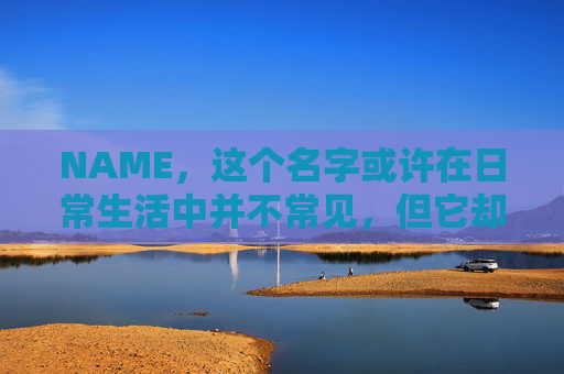 NAME，这个名字或许在日常生活中并不常见，但它却在某些领域里扮演着重要的角色。今天，让我们一起来探索这个名字背后的故事和意义